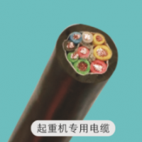 起重機(jī)專(zhuān)業(yè)電纜